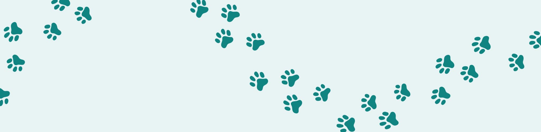 Product Listing Banner