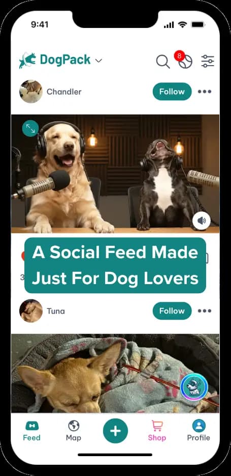 DogPack Feed feature - Social feed where dog lovers connect through photos, videos, and updates