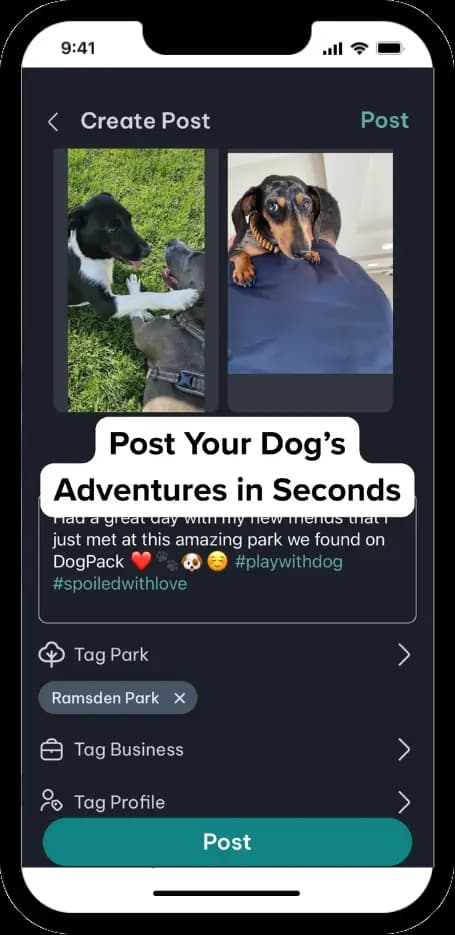DogPack Post feature - Share photos, videos, and updates with the DogPack community