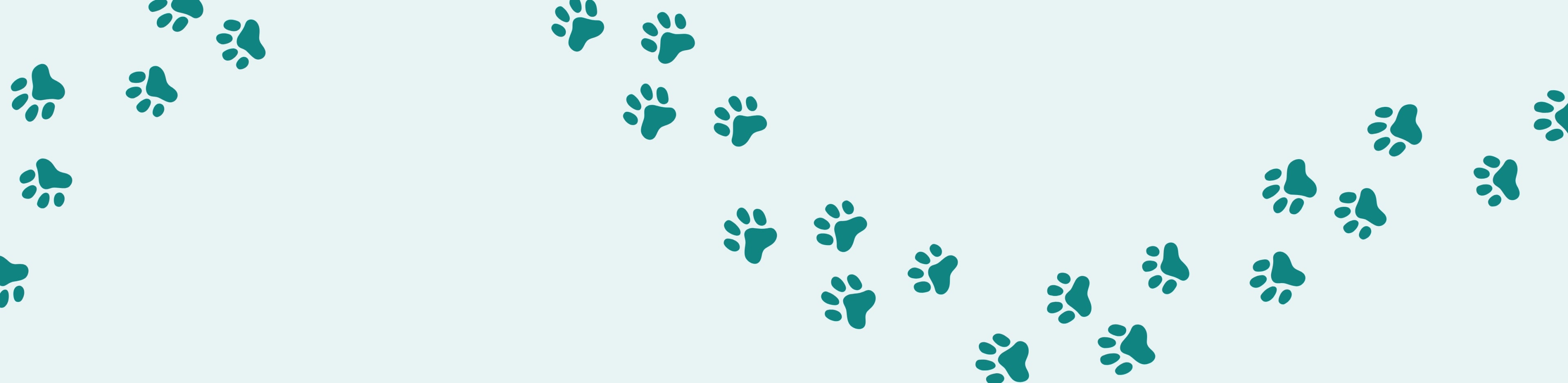 Testing purchase Eric