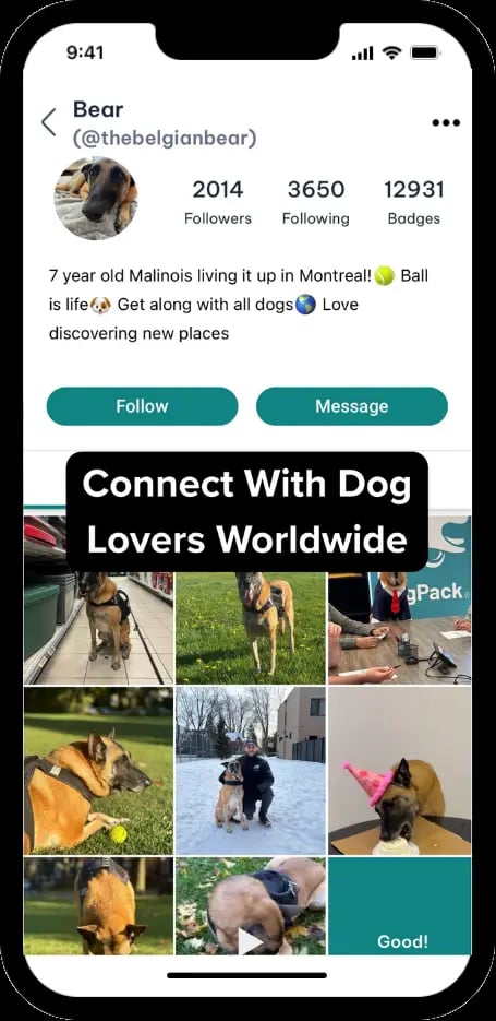 DogPack Profile feature - Create and manage your dog's profile and connect with the community