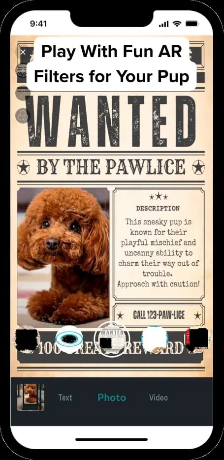 DogPack Camera feature - Capture and share moments with your dog using AI-powered filters