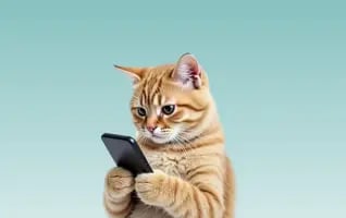 Reach 2M+ pet owners on DogPack