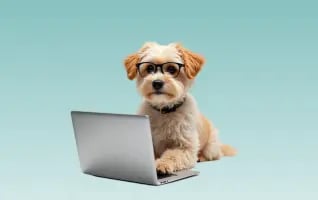 Manage your DogPack store effortlessly