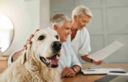 Pet insurance service for your dog