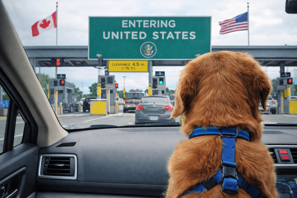 Taking Your Dog from Canada to the U.S.? Here’s What You Actually Need to Know (2026) - Dog care article