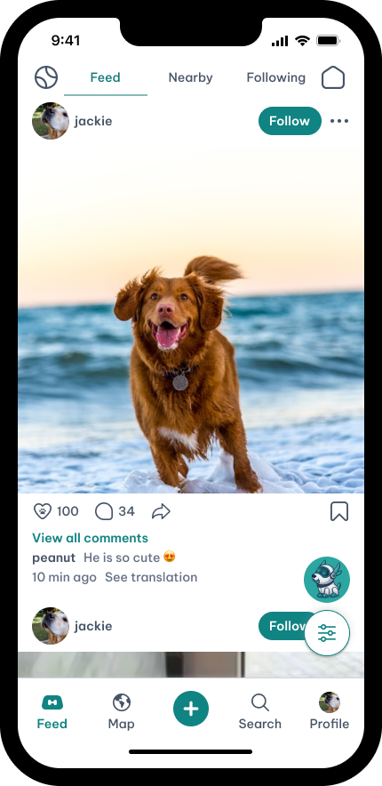 Dog park feed preview for light and dark mode